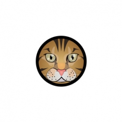 Bengal