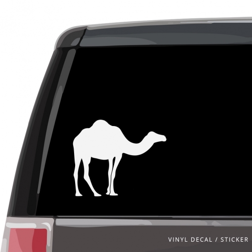 Camel Custom (or not) Custom Decal