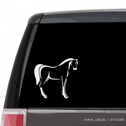 Horse Custom (or not) Custom Decal