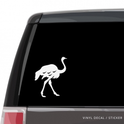 Ostrich Custom (or not) Custom Decal