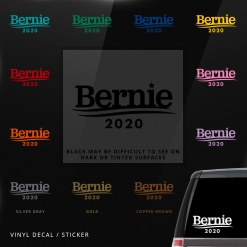 Bernie 2020 Car Window Decal