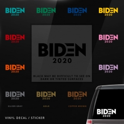 Biden 2020 Car Window Decal