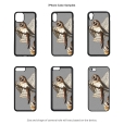 Barn Owl iPhone Cases