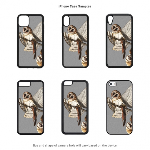 Barn Owl iPhone Cases
