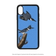 Belted Kingfisher iPhone X Case